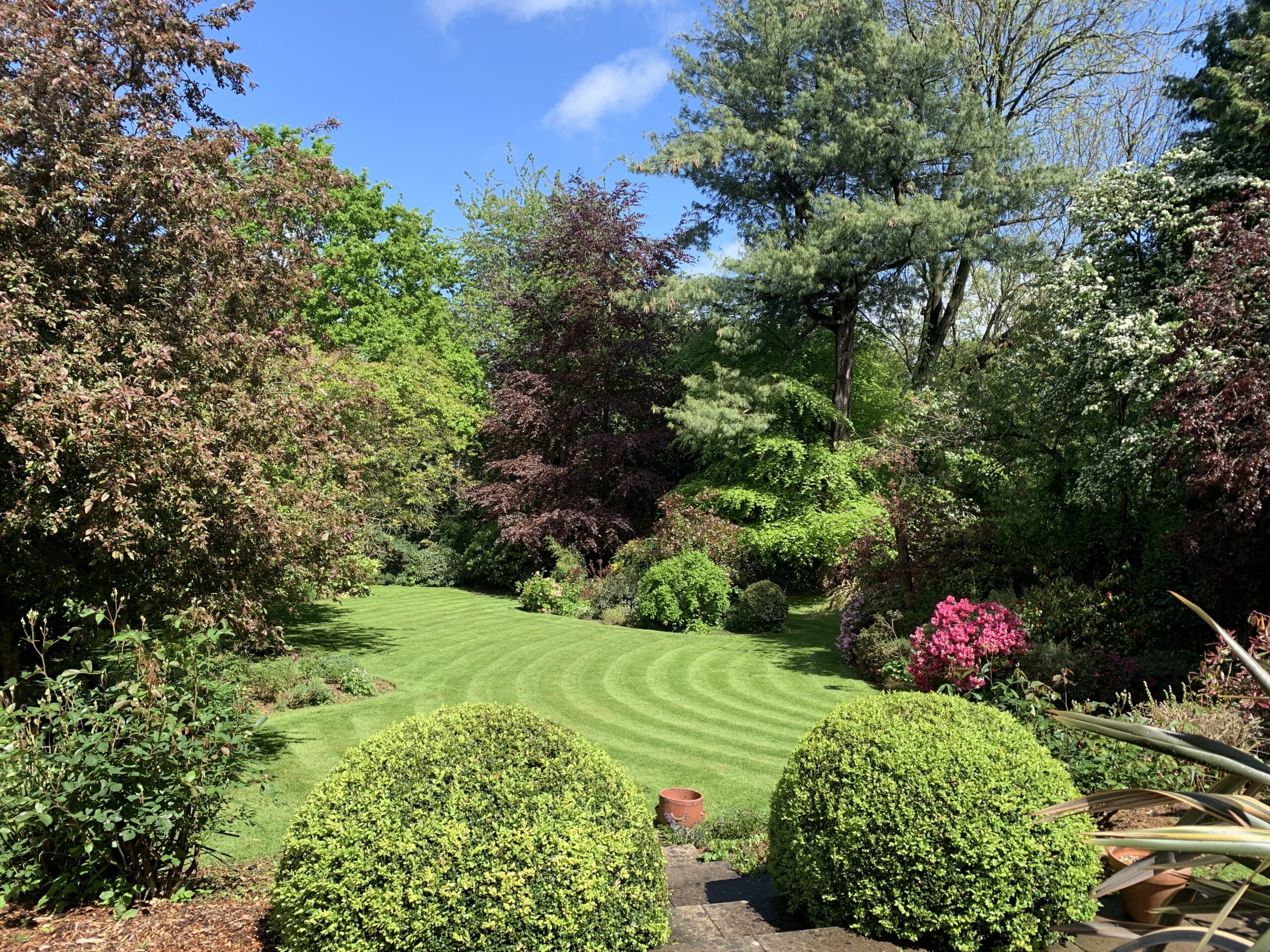 spring garden with curved lawn stripes