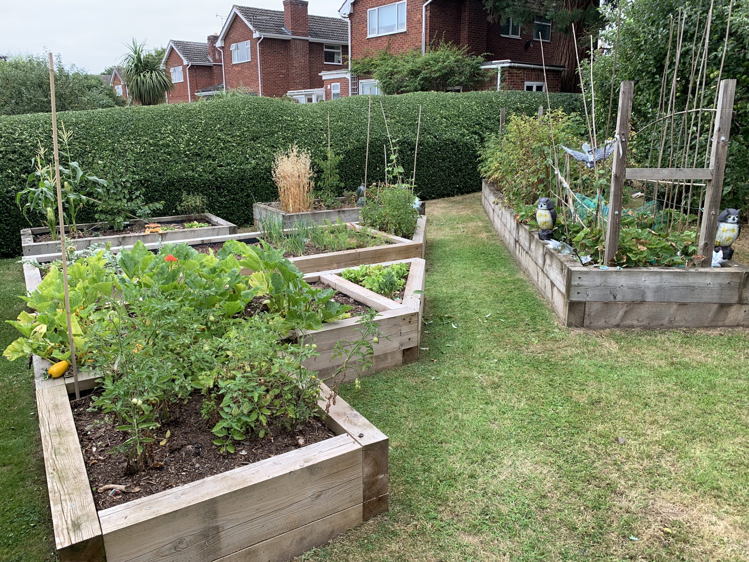 vegetable garden constructed from softwood sleepers