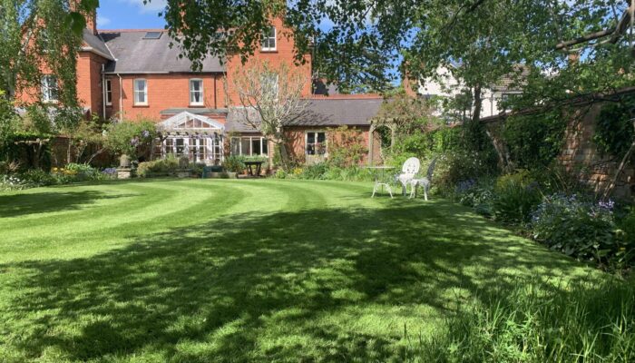 lovely curvy grass cutting!