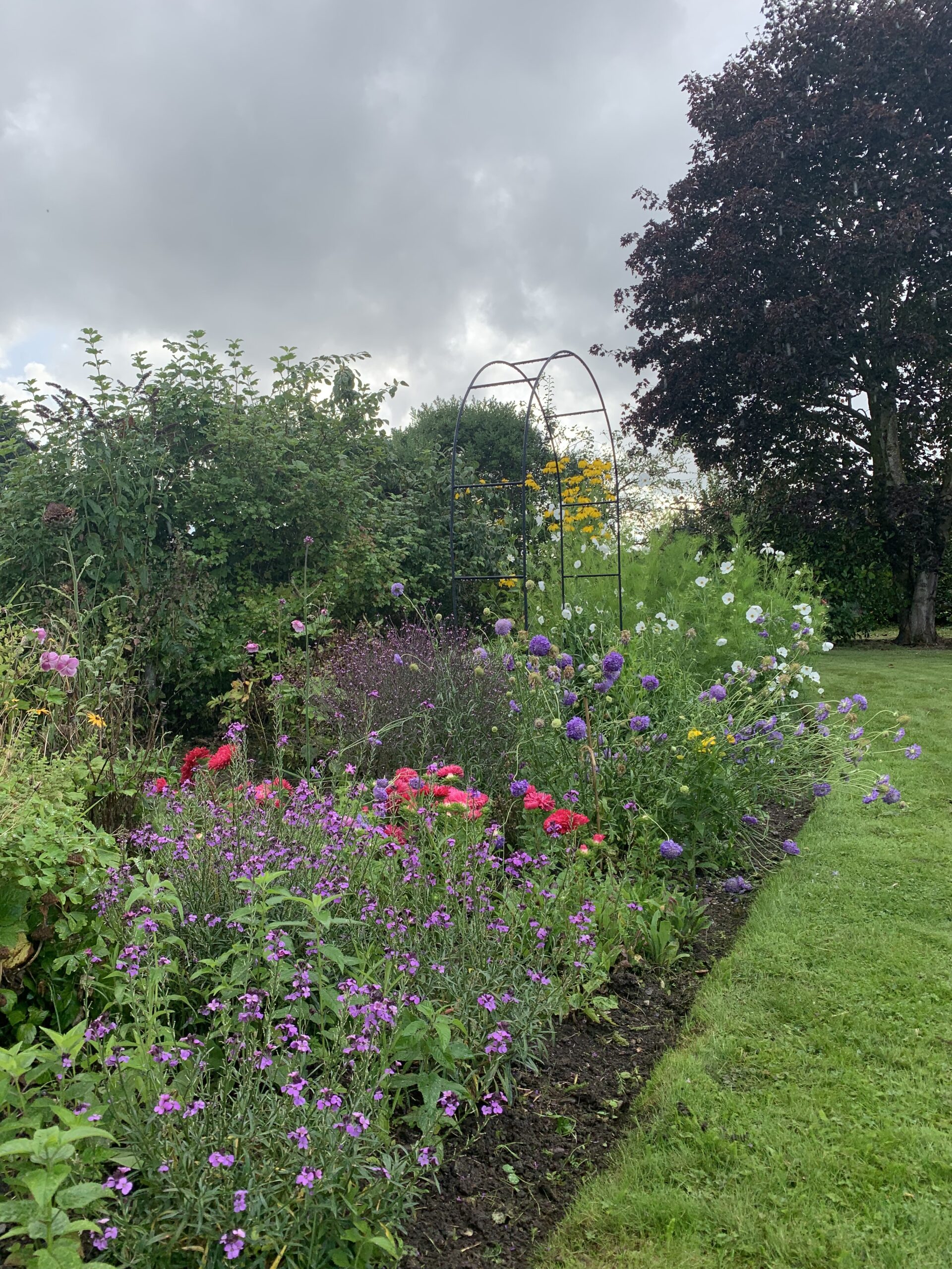 herbaceous border with annuals