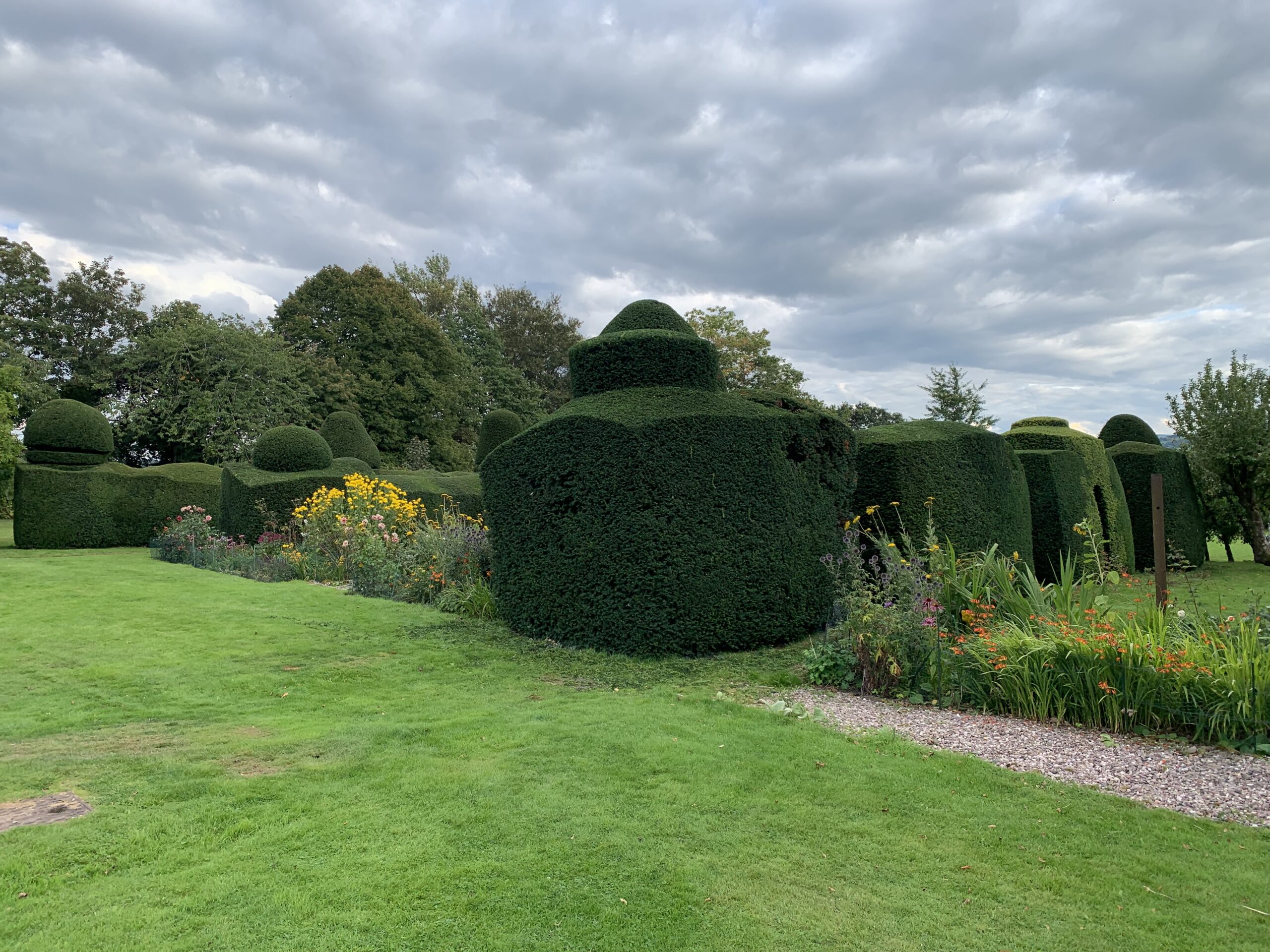 yew topiary with late sumer flowering borders