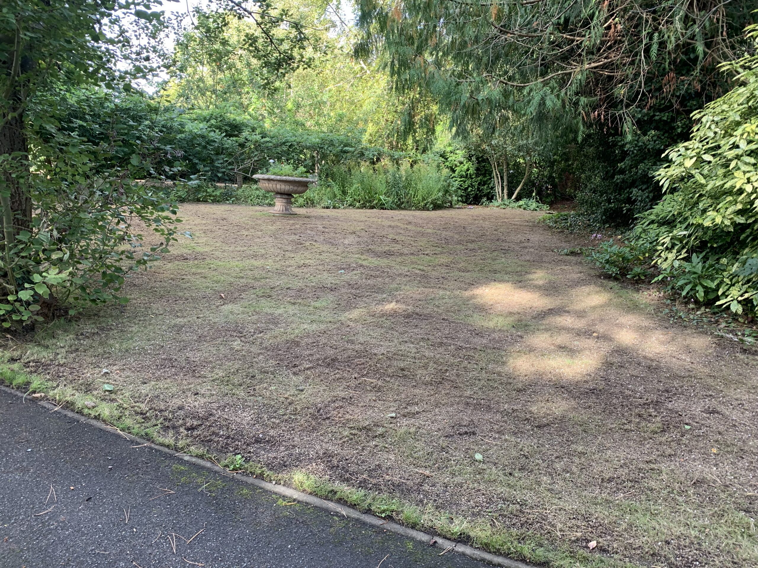 shaded lawn immediately after scarifying