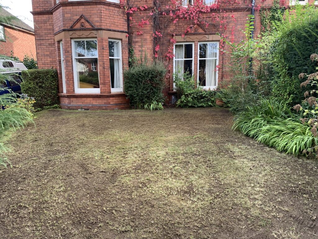 lawn immediately after scarifying