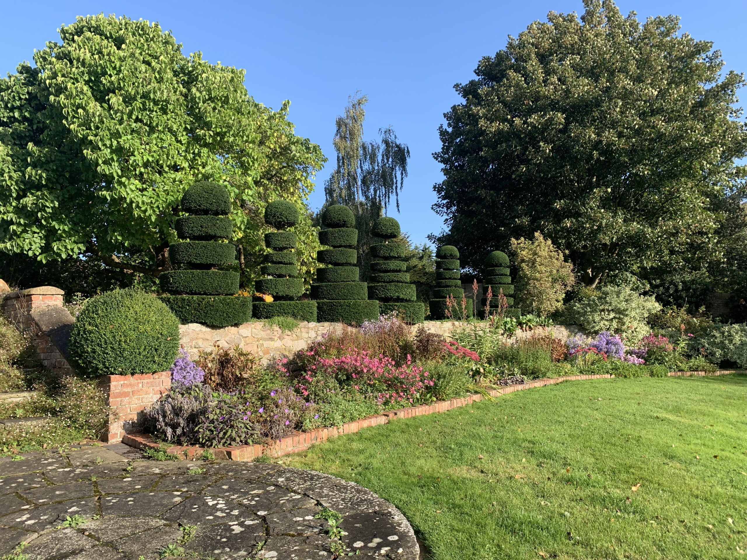 herbaceous border with layered yew topiary