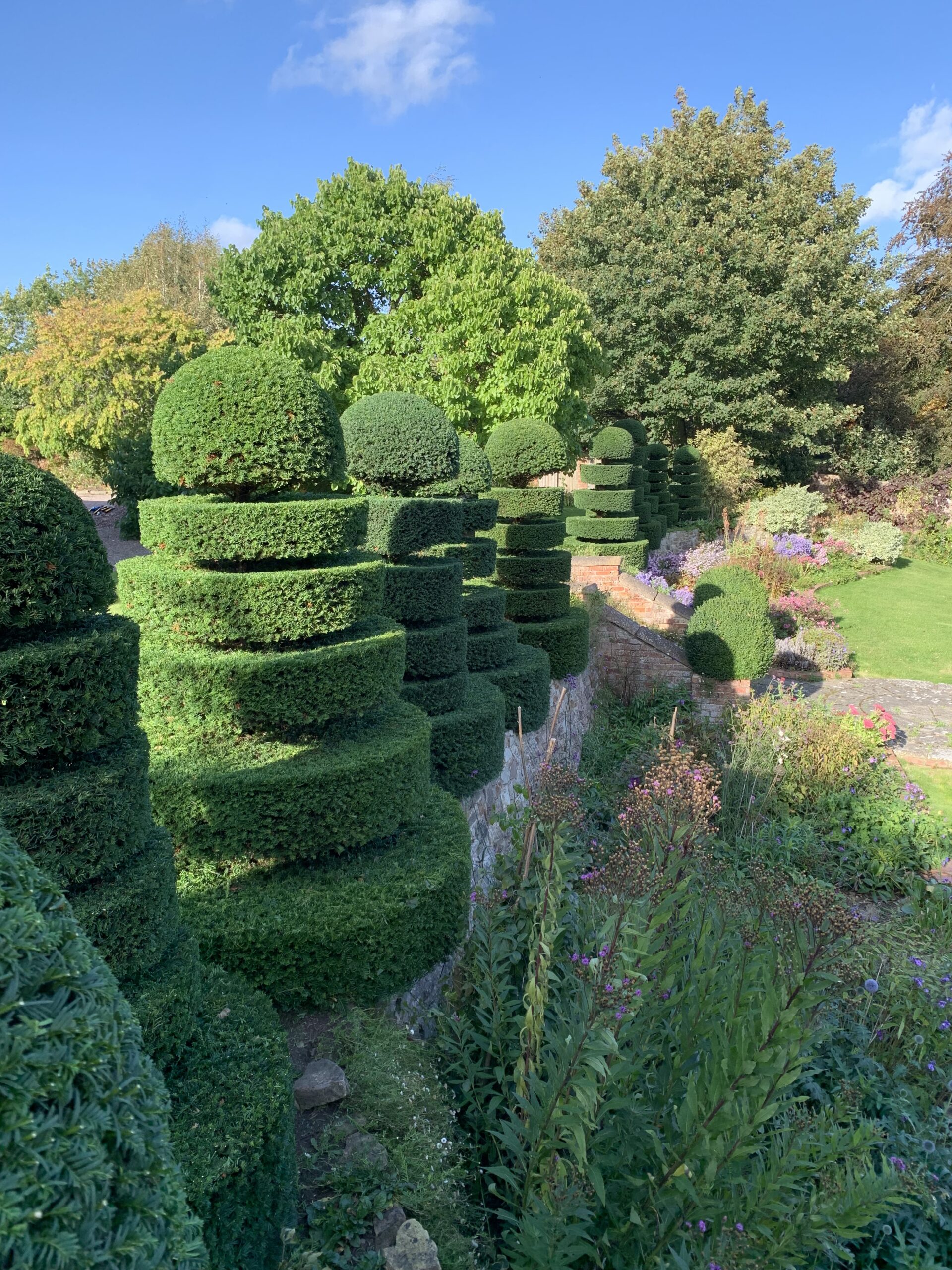 layered yew topiary