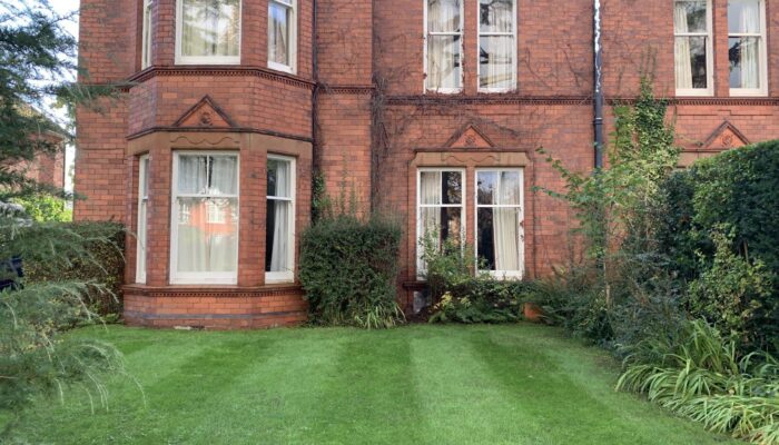 lawn 1 month after scarifying and feeding