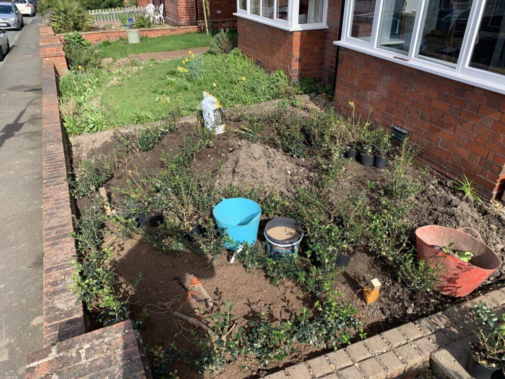 front garden redesign with formal low hedging