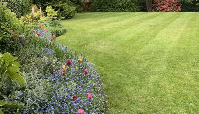 spring garden border and lawn