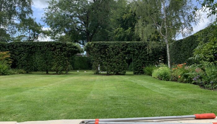 garden maintenance