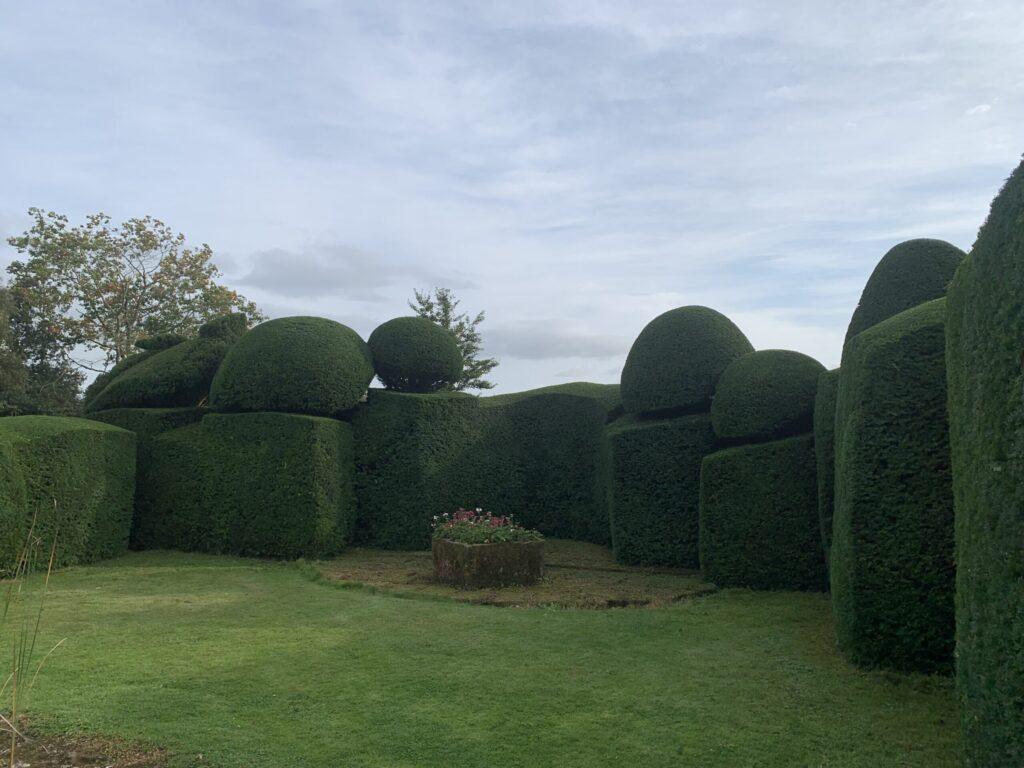 topiary shapes