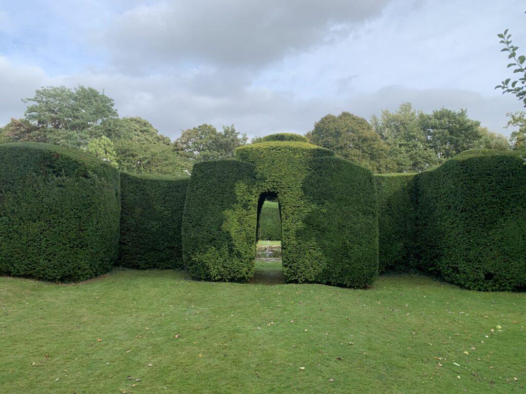 golden yew archway