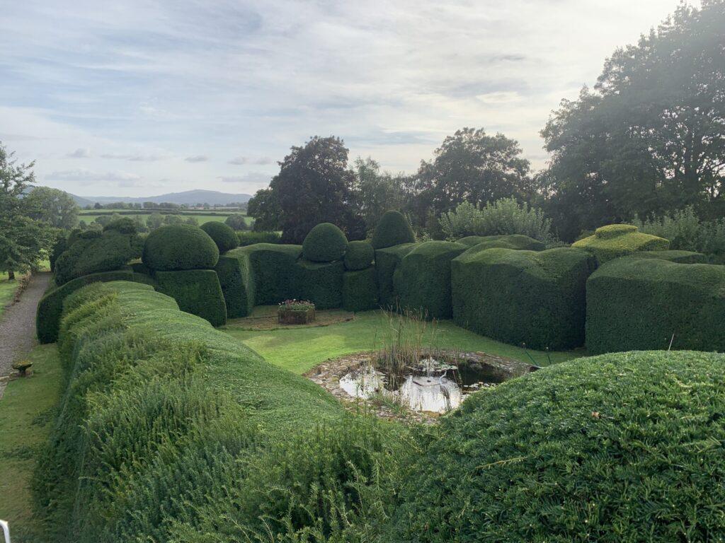 hedge cutting in progress