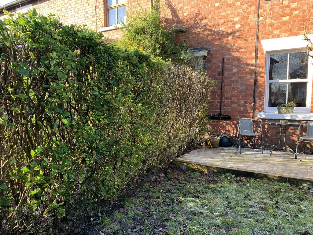 dead hedge