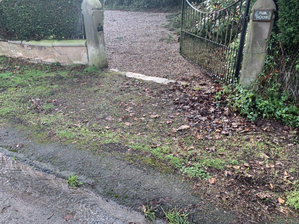 overgrown driveway